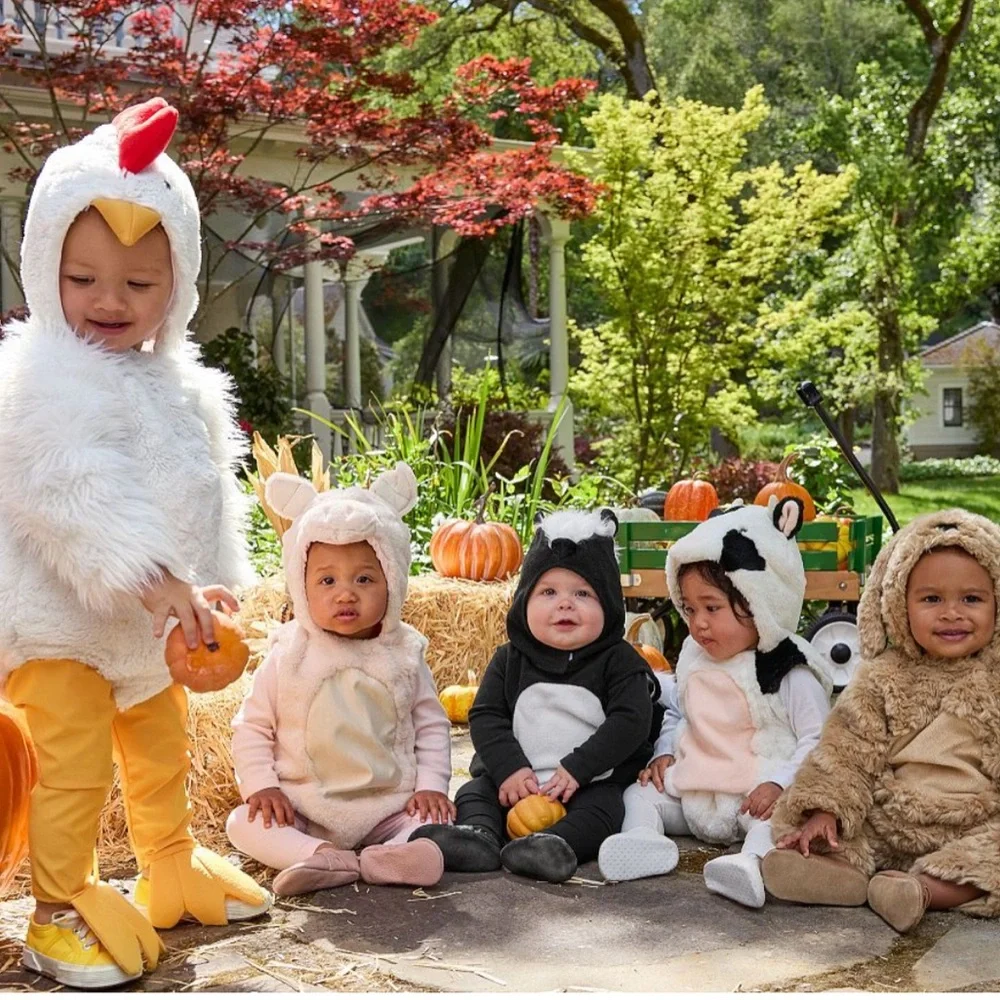 Baby Chicken Costume Halloween Fall Baby Infant Size 0-6 Months